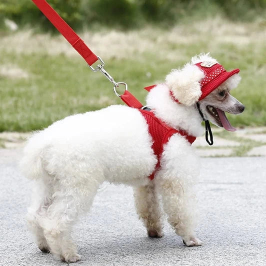 Dog Sun Hat