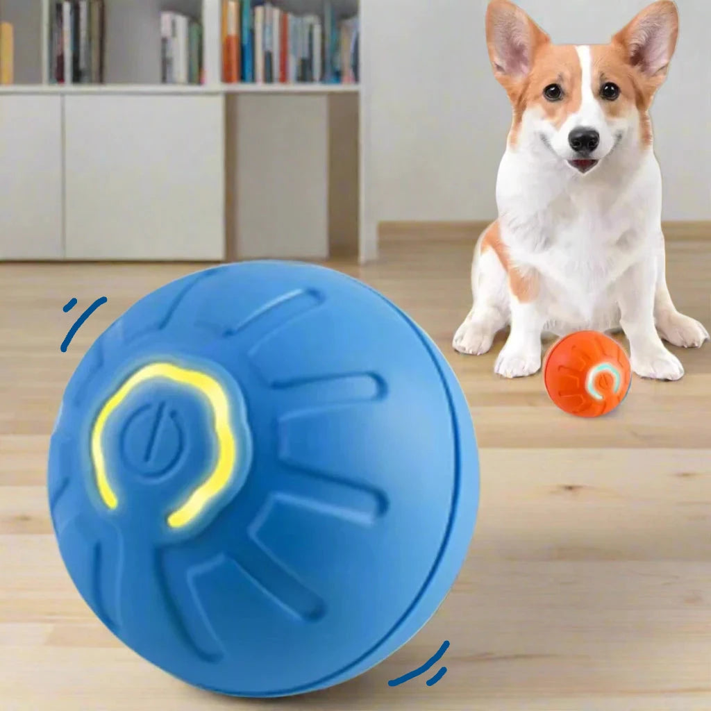 Interactive Dog Ball