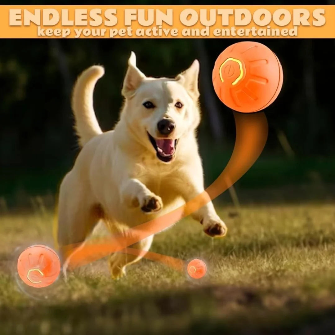 Interactive Dog Ball