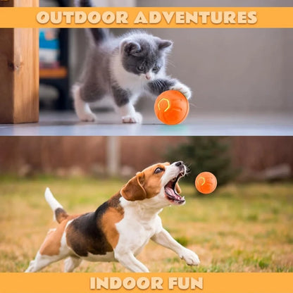 Interactive Dog Ball