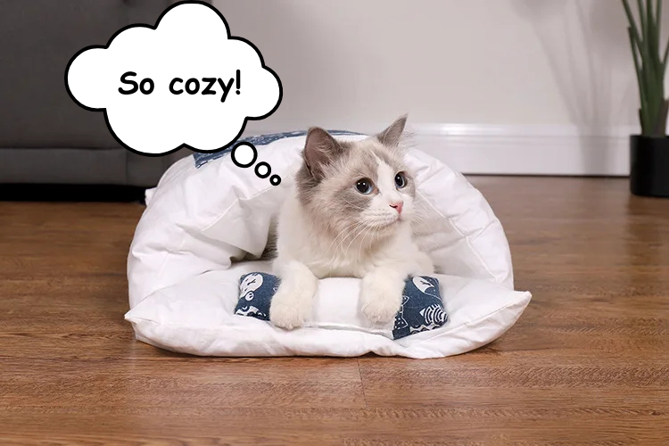 Cozy 2-in-1 Pet Bed